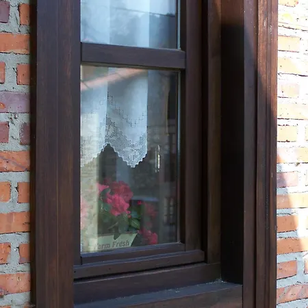 Inn De Muno Munorrodero