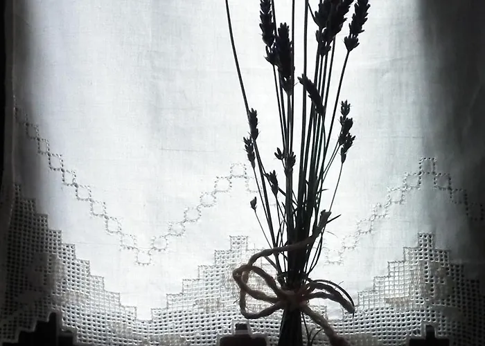 Мини-отель De Muno *